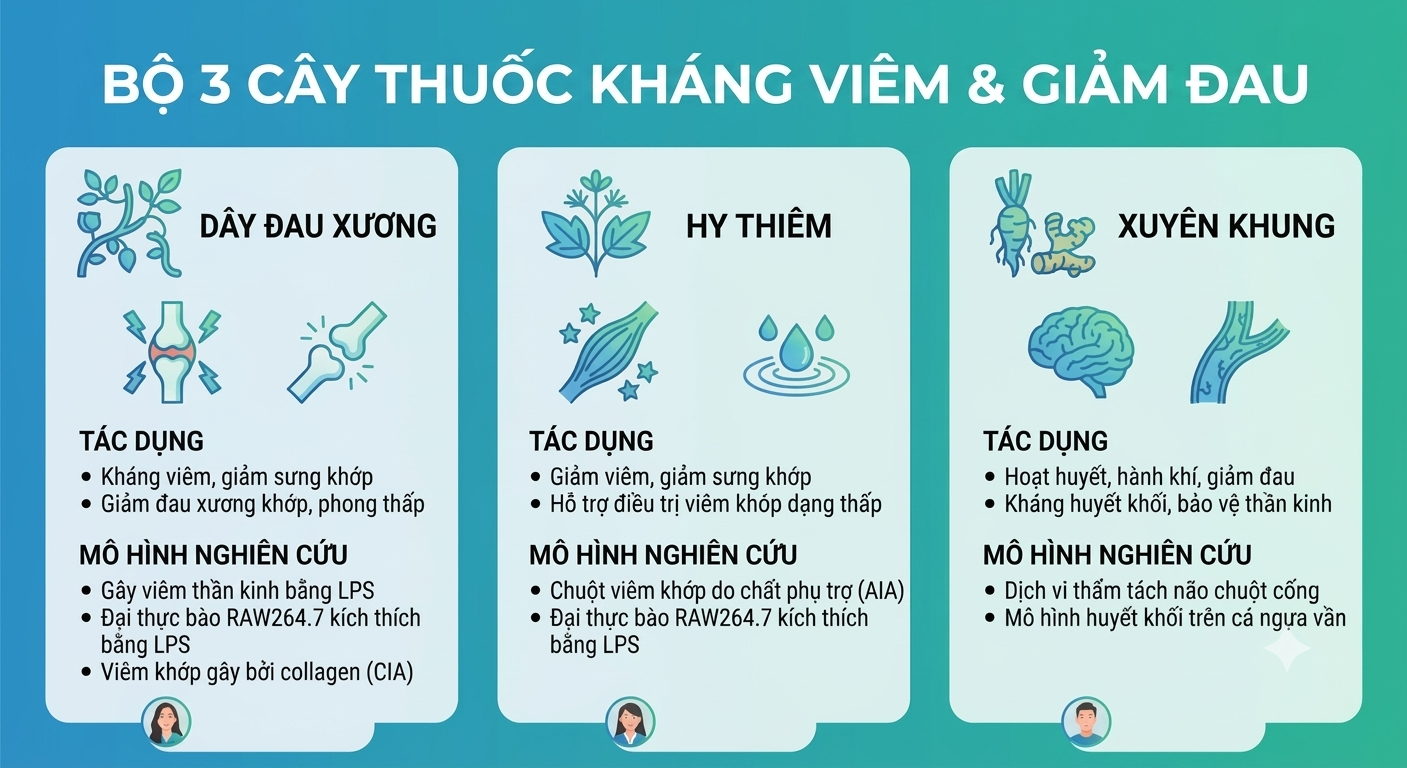 Không có ảnh